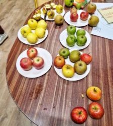 le musée de la fraise à l’école